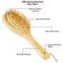 Bampooch Bamboo Dog Brush and Cat Brushes for grooming - Rounded Bristles, Natural Rubber - Grooming Tools for All Hair or Fur Types for a Glossy, Shiny Coat - Dog brush for shedding