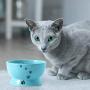 Y YHY Cat Water Bowl,Raised Cat Food Dish,Elevated Cat Bowl No Spill,Ceramic Pet Bowls for Cats or Small Dogs,Dishwasher Safe