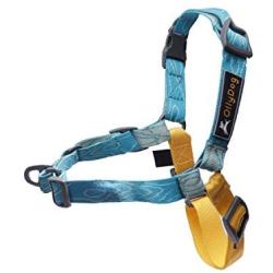 OllyDog Essential Harness, Leash Clip on Chest or Back, Reduced Pulling, Lightweight, Low-Profile, Durable for Everyday Walks and Adventures, for Small, Medium, or Large Dogs