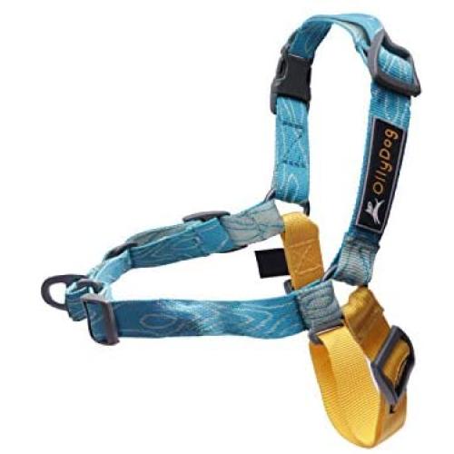 OllyDog Essential Harness, Leash Clip on Chest or Back, Reduced Pulling, Lightweight, Low-Profile, Durable for Everyday Walks and Adventures, for Small, Medium, or Large Dogs