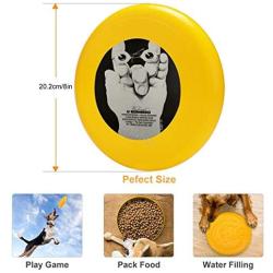 Pet Frisbee Flying Disc Dog Toy - Multifunction Weekend at Bernies Polish B1_1024x1024