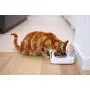 Sure Petcare - SureFeed - Motion Activated Sealed Pet Bowl Sure Petcare - SureFeed - Motion Activated Sealed Pet Bowl