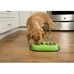 Iconic Pet 1 Cup Color Splash Stainless Steel Double Diner for Dog/Cat