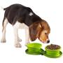 ALL FOR PAWS Collapsible Dog Bowl Silicone Double Dinner Dog Bowl Portable Pet Feeding Watering Dish for Walking Parking Traveling, Green