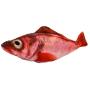 pepoot Catnip Toys Kitten Toys Cat Toy Fish Plush Fishes Dolls Interactive Pets Pillow Chew Toys for Cats Pet Supplies for Kitty