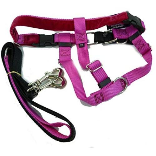 2 Hounds Design Freedom No-Pull Dog Harness and Leash, Adjustable Comfortable Control for Dog Walking, Made in USA (XSmall 5/8'') (Raspberry)