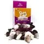 AXEL PETS 60 Furry Mice with Catnip and Rattle Sound Made of Real Rabbit Fur Interactive Catch Play Mouse Toy for Cat, Box of 60 Mice