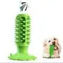 Ceetpupe Squeaky Chew Toothbrush Dog Toy Sticks for Puppy Small Medium Large Dogs Teeth Cleaning Ceetpupe Squeaky Chew Toothbrush Dog Toy Sticks for Puppy Small Medium Large Dogs Teeth Cleaning