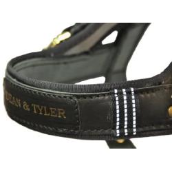 Dean and Tyler Guide Brass Hardware Leather Dog Harness, Black/Reflective, Medium - Fits Girth: 25-Inch to 31-Inch, Chest Size: 22-Inch