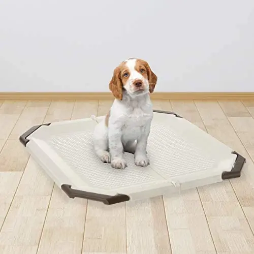 PAW TRAX Potty Pad Holder, Puppy Training Pad Tray, for a pad 21 x 21 inches PAW TRAX Potty Pad Holder, Puppy Training Pad Tray, for a pad 21 x 21 inches