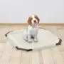 PAW TRAX Potty Pad Holder, Puppy Training Pad Tray, for a pad 21 x 21 inches PAW TRAX Potty Pad Holder, Puppy Training Pad Tray, for a pad 21 x 21 inches