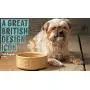 Mason Cash Lettered Water Bowl for Dogs, Cane, 20 cm