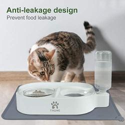 Joytale Cat Food and Water Bowls, Detachable Glass Feeder Bowl for Kitten, No-Spill Pet Bowl with Automatic Water Dispenser