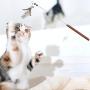 FairOnly Pet Manual Beads Feather Cat Teaser with Wooden Handle Puzzle Toy Convenient Life