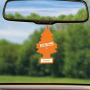 LITTLE TREES Car Air Freshener I Hanging Tree Provides Long Lasting Scent for Auto or Home I Coconut, 24 Count, (4) 6-Packs