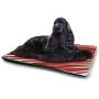 DayDayFun Shark Pet Training Mat Caution Shark Sign Sharp Teeth Animal Ocean Danger Do Not Swim Illustration Insulated Self-Heating Pet Mat Earth Yellow Grey