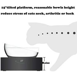 Love Dream Cat Bowls Elevated, Raised Cat Bowls with Stainless Steel Bowls, 15° Tilted Cat Food Bowls Stress-Free Suit for Cats Small Dogs