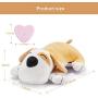 Moropaky Plush Dog Toy Heartbeat Puppy Toy to Separate Anxiety Relief for Puppy Calming Create Training Sleep Aid Behavioral Aid Dog Toys [ for Dogs Cats Pets ]