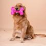 Glorisun Dog Bones Toys, Durable Plush Dog Toy Built-in Vocal Airbag, Pet Chew Dental Toy for Interactive Play Training and Fun