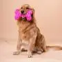 Glorisun Dog Bones Toys, Durable Plush Dog Toy Built-in Vocal Airbag, Pet Chew Dental Toy for Interactive Play Training and Fun