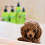 Underwater Dogs - Moisturizing Puppy Shampoo & Conditioner for Dry Skin - 8.4 fl. oz. Vanilla-Coconut
