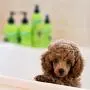 Underwater Dogs - Moisturizing Puppy Shampoo & Conditioner for Dry Skin - 8.4 fl. oz. Vanilla-Coconut Underwater Dogs - Moisturizing Puppy Shampoo & Conditioner for Dry Skin - 8.4 fl. oz. Vanilla-Coconut