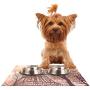 KESS InHouse Sam Posnick Eiffel Tower Feeding Mat for Pet Bowl, 18 by 13-Inch