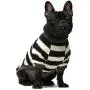 Fitwarm 2-Pack 100% Cotton Striped Dog Shirt for Pet Clothes Puppy T-Shirts Cat Tee Breathable Strechy Fitwarm 2-Pack 100% Cotton Striped Dog Shirt for Pet Clothes Puppy T-Shirts Cat Tee Breathable Strechy