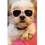 Style Vault G014 Dog Cat Pet 80s Sunglasses Goggles for Small Breeds up to 15lbs