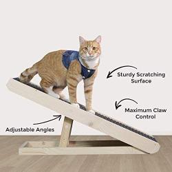 Alpha Paw Cat Ramp & Cat Scratcher, 2 in 1 - Large Sturdy Carpeted Incline Scratchy Ramp - Cat Scratch-Able Furniture, Cat Scratchers For Indoor/Outdoor Cats - Adjustable Height & Replaceable Carpet