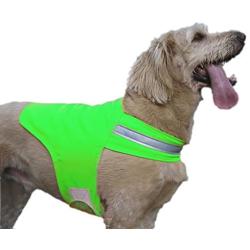 Dog Not Gone No Fly Zone Safety Vest for Dogs, Medium, Green