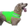 Dog Not Gone No Fly Zone Safety Vest for Dogs, Medium, Green