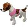 Dog Harness for Small Dogs - No Pull Breathable Mesh Harnesses for Small & Medium Breed Dogs - Puppy Vest for Walking & Running - Adjustable Body Harness - Sizes XS S M L Dog Harness for Small Dogs - No Pull Breathable Mesh Harnesses for Small & Medium Breed Dogs - Puppy Vest for Walking & Running - Adjustable Body Harness - Sizes XS S M L