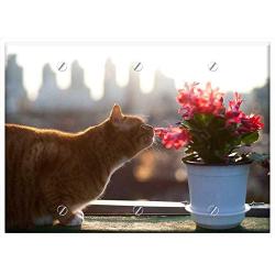 Triple Blank Wall Plate Cover - Cat Cats Pet Pets Flowers And Just Click The Worm