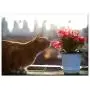 Triple Blank Wall Plate Cover - Cat Cats Pet Pets Flowers And Just Click The Worm Triple Blank Wall Plate Cover - Cat Cats Pet Pets Flowers And Just Click The Worm
