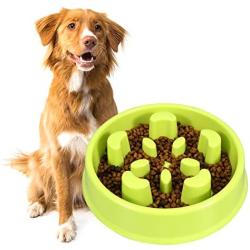 KASBAH Slow Feeder Dog Bowl, Anti-Gulping Dog Bowl Bloat Stop Water Dog Bowl for Small/Medium Dogs