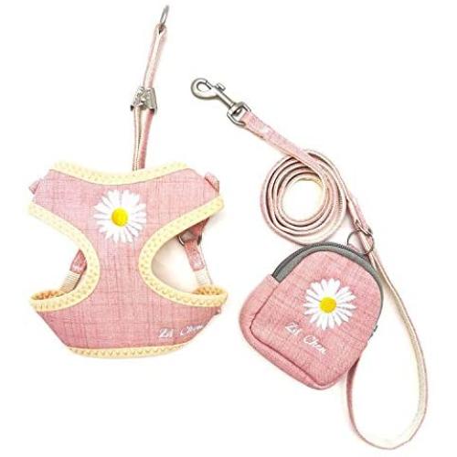 Pet Vest Harness with Leash for Puppy Dog and Cat,Matching Food Bag for Outdoor Walking or Hiking,Soft/Cosy Mesh for Small Dog Puppy Pets