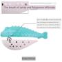nobrand Cat Toy cat Toothbrush is Resistant to Gnawing, Cleaning Teeth and Grinding Teeth. Mint Simulation Fish Toy