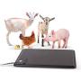 K&H PET PRODUCTS Thermo-Farm Animal Heated Mat