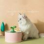 THMY Cat Water Fountain, Water Dispenser for Cat with Silent Water Pump, Small Sapling tap Style Water Bowl with 4pcs Hygienic Filter, Ceramics Pet Fountain (Pink)