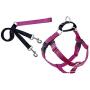 2 Hounds Design Freedom No-Pull Dog Harness Training Package, X-Large, Raspberry