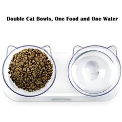 JiangYan-US Cat Bowls Elevated 15° Tilted Cat Food Water Bowls Raised Cat Bowls with Stand Stress-Free Suit for Cats Small Dogs