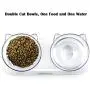 JiangYan-US Cat Bowls Elevated 15° Tilted Cat Food Water Bowls Raised Cat Bowls with Stand Stress-Free Suit for Cats Small Dogs JiangYan-US Cat Bowls Elevated 15° Tilted Cat Food Water Bowls Raised Cat Bowls with Stand Stress-Free Suit for Cats Small Dogs