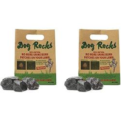 Dog Rocks - 100% Natural Grass Burn Prevention - Prevents Lawn Urine Stains - Two Large Bulk Bags - 12 Month Supply