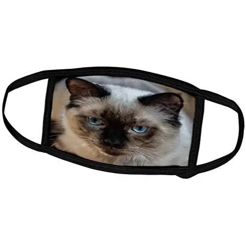 3dRose Sven Herkenrath Cat - Portrait of Siam Cat Pet Kitten - Face Masks (fm_311448_3) 3dRose Sven Herkenrath Cat - Portrait of Siam Cat Pet Kitten - Face Masks (fm_311448_3)