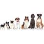 One Step Vet Pet Urine Test Strips Dog, Cat, UTI, Diabetes, Kidney, Liver, Blood, Ketones (VET-10/100 Test)