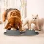 Dog Bowls Stainless Steel, Collapsible Dog Bowl with No Spill Non-Skid Silicone Mat Set, Three Feeder Food Water Bowl for Small Medium Large Dogs, Puppies, Cats and Pets, Pack of 3