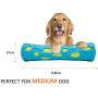 OllyDog Adventure Fetch Rubber Toy, Functional, Tough, Durable Rubber Toy for Dogs, Squeaky Stick Toy, Perfect Puppy Chew Toy Made from Non-Toxic Natural Rubber for MediumDog