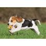 JKQ Soft Cat Balls Colorful Rubber Scratching Balls Pet Chew Toys Ball Bite Resistant Training Toys Treat Balls for Small Dogs, Cats, Kittens