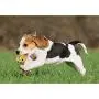 JKQ Soft Cat Balls Colorful Rubber Scratching Balls Pet Chew Toys Ball Bite Resistant Training Toys Treat Balls for Small Dogs, Cats, Kittens JKQ Soft Cat Balls Colorful Rubber Scratching Balls Pet Chew Toys Ball Bite Resistant Training Toys Treat Balls for Small Dogs, Cats, Kittens